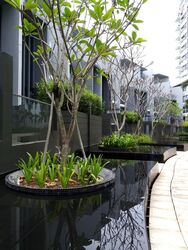 Skies Miltonia (D27), Condominium #472905981